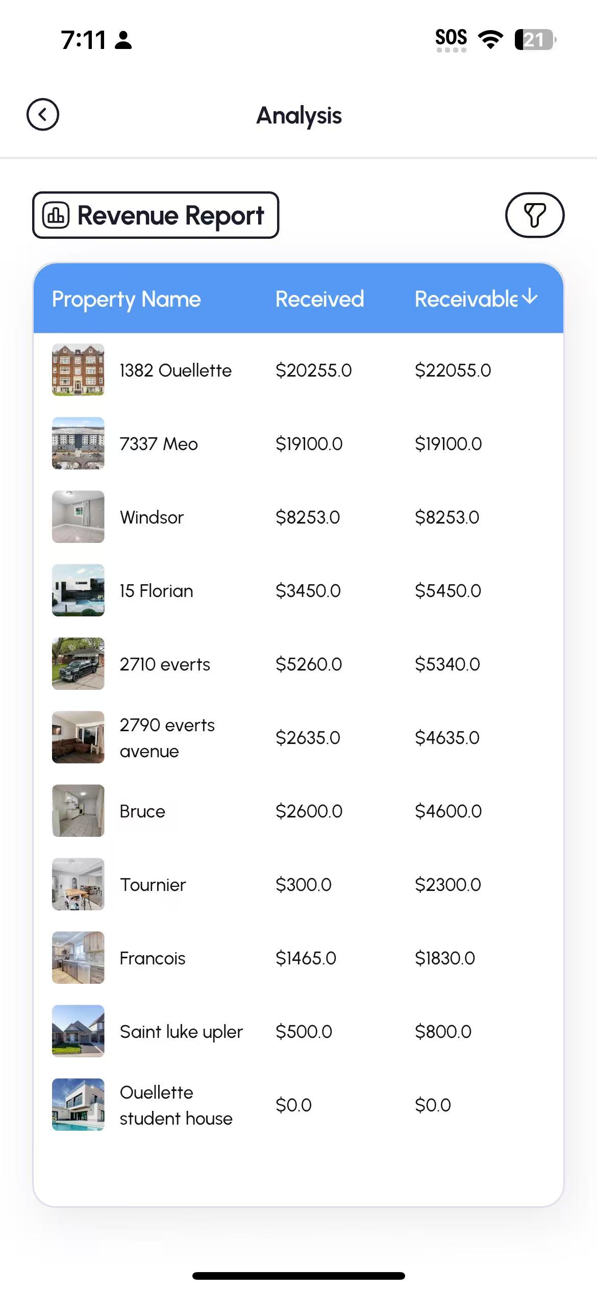 Revenue report detail